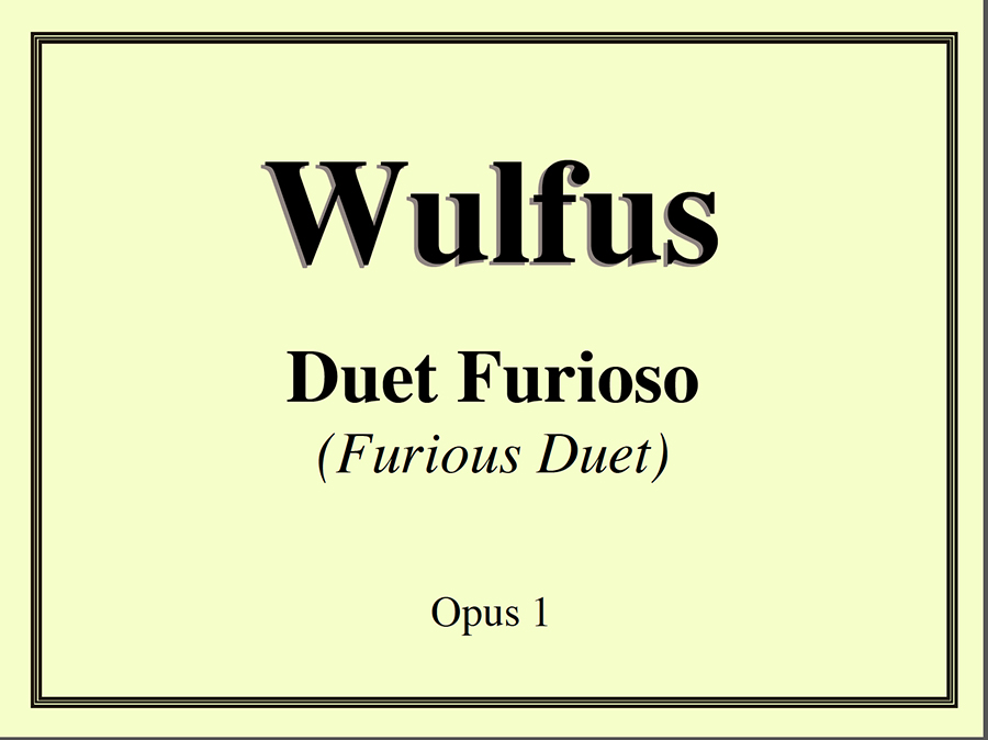 Cover of Duet Furioso ebook