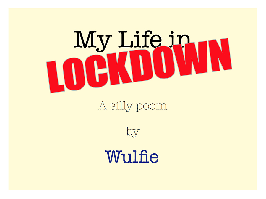 Cover of My Life in Lockdown ebook