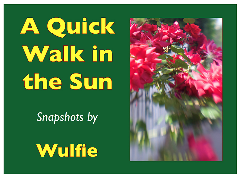 Cover of A Quick Walk in the Park ezine